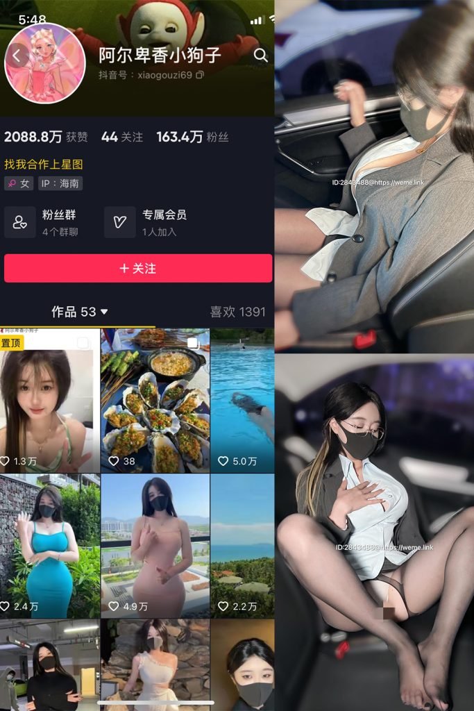 阿尔卑香小狗子 微密圈资源网盘合集[54套][持续更新]-开眼吧